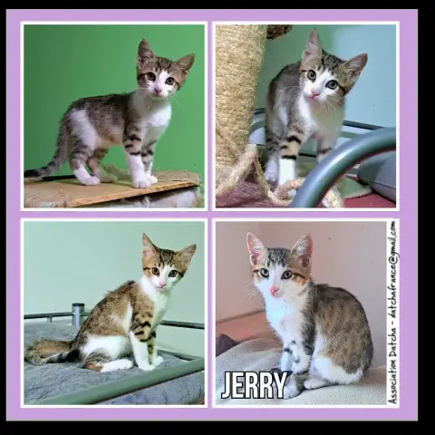 Jerry