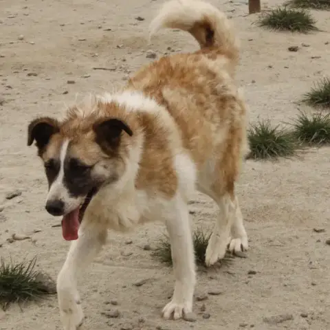 Deborah photo 2