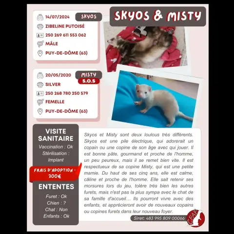 Skyos & Misty