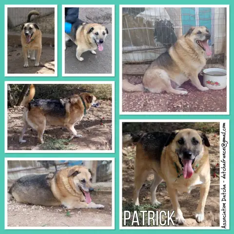 Patrick