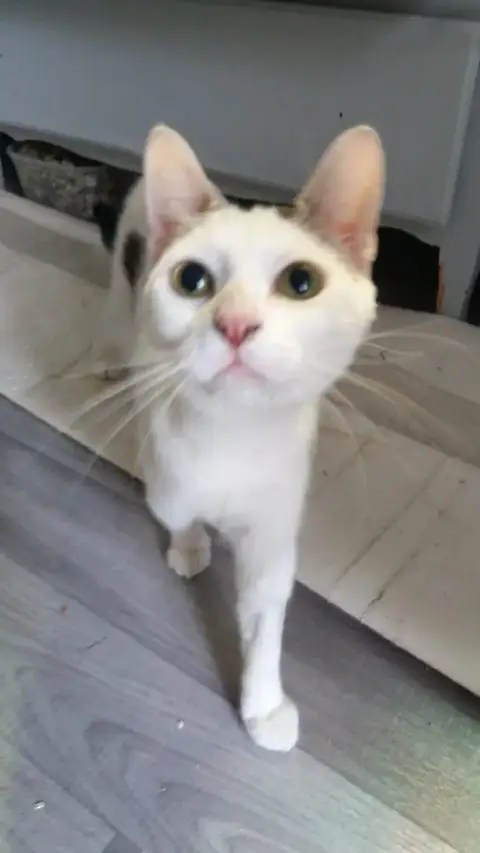 Lola
