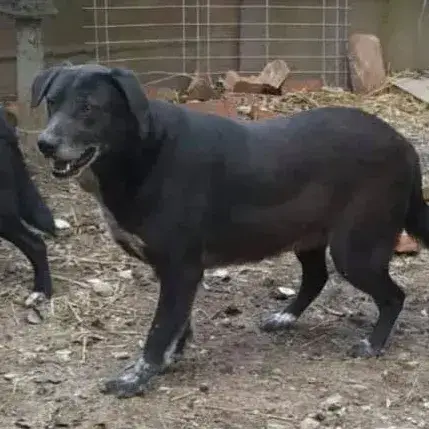 Patty photo 2