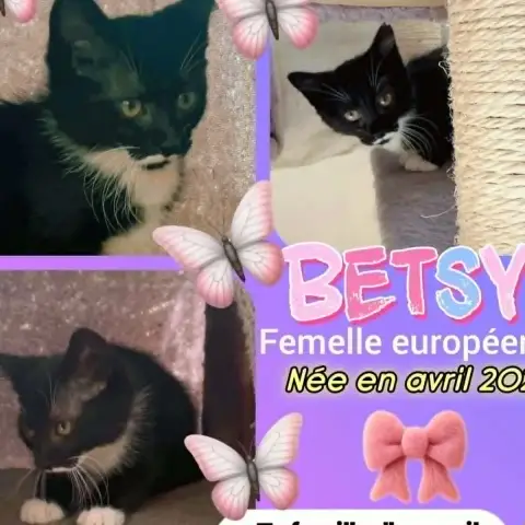 Betsy