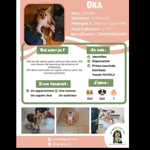 Oka
