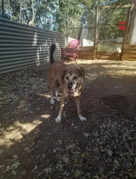 Roxy photo 3