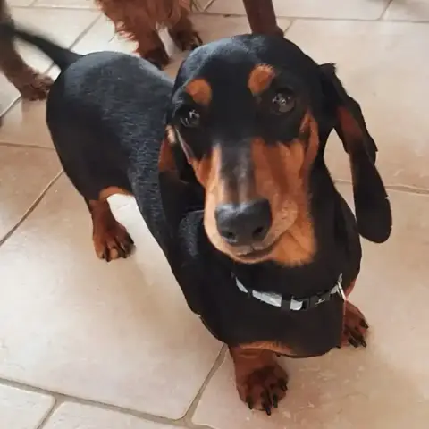 Simone
