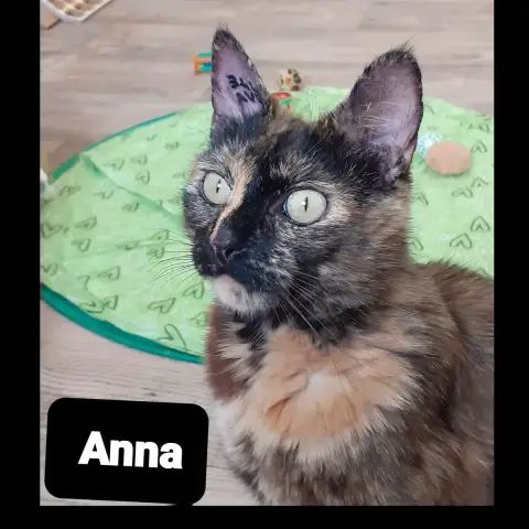 Anna