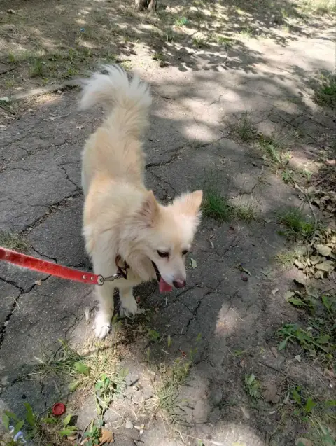 Nanuq photo 3