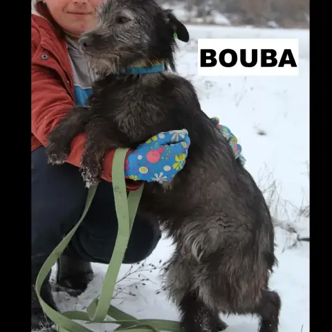 Bouba photo 2