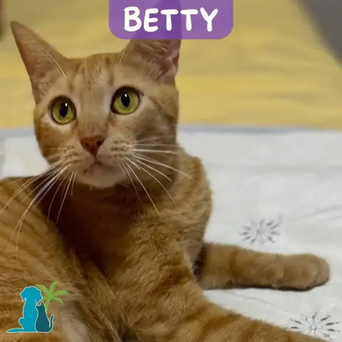 Betty