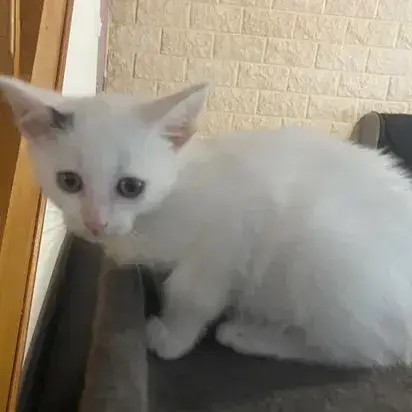 Casper