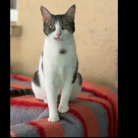 Céleste photo 2