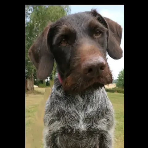 Trevor photo 3