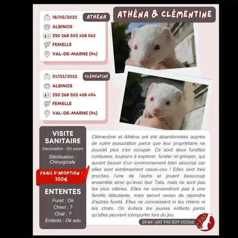Clémentine & Athéna