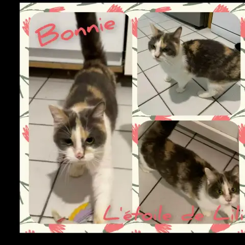 Bonnie