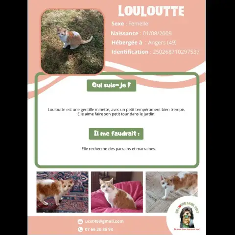 Louloutte