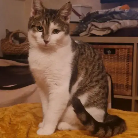 Louise