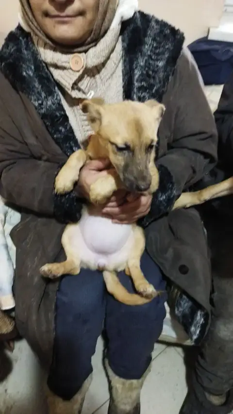 Kita