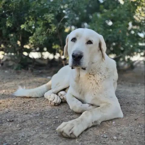 Xavi photo 2