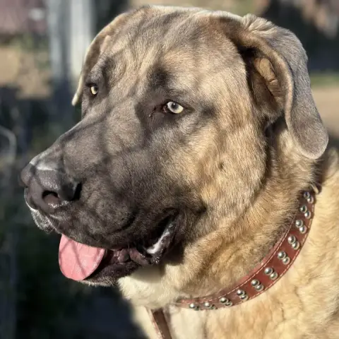 Zeus photo 3