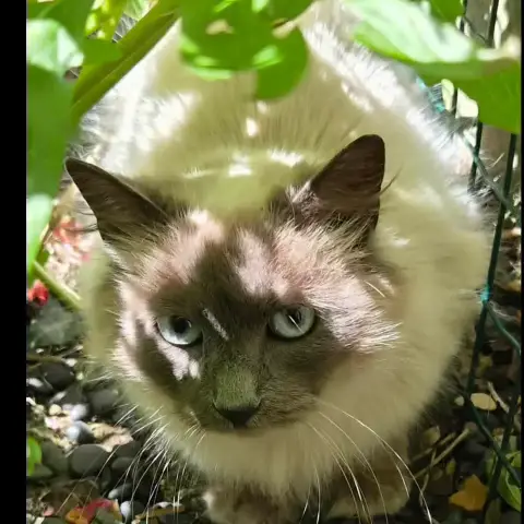 Bella photo 3