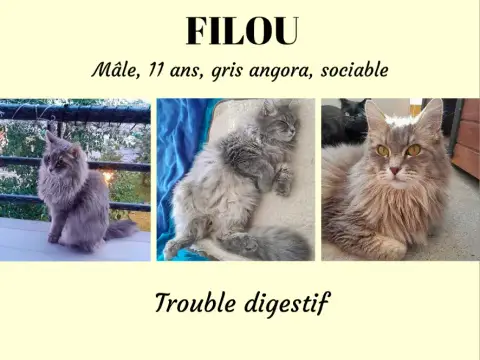 Filou