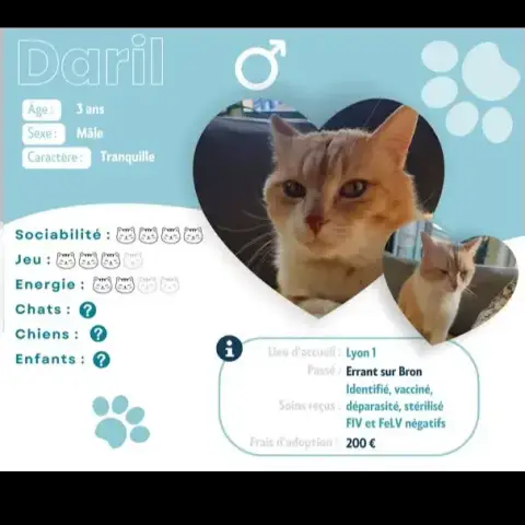Daril