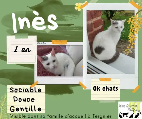 Inès