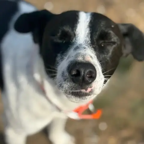 Ozzy photo 2