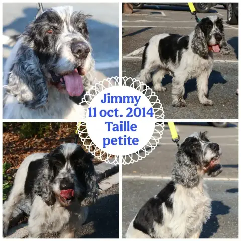 Jimmy