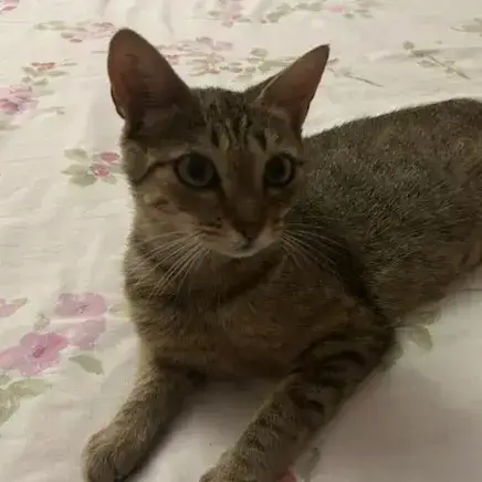 Maya photo 2