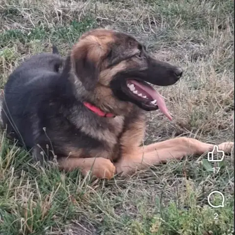 Lenny photo 2