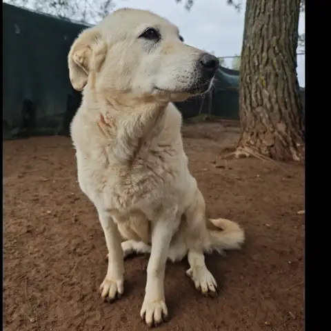 Hera