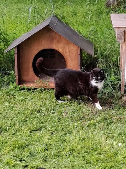 Maya photo 3