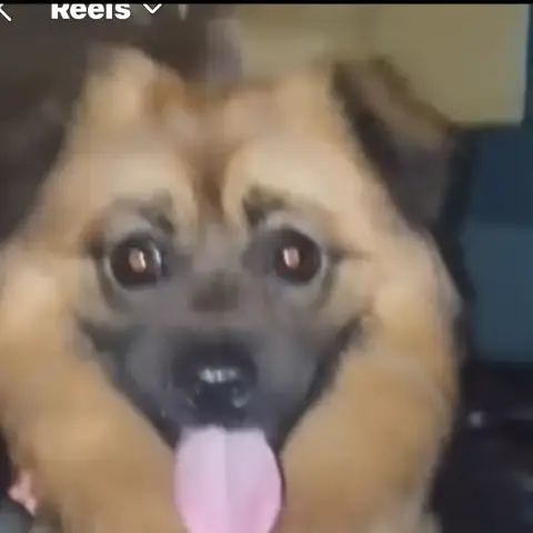 Nicko