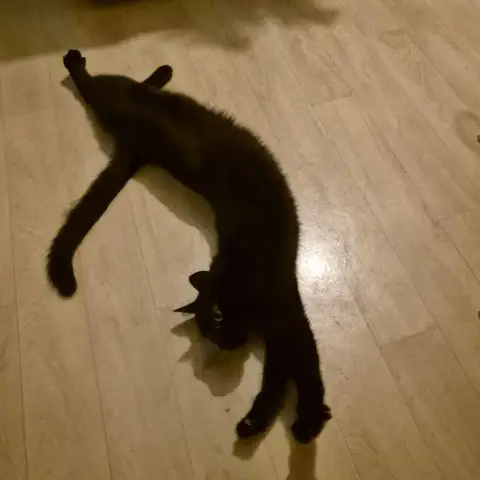 Shadow photo 3