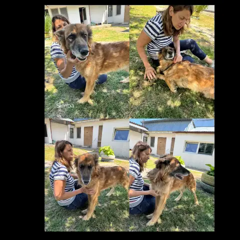 Simba