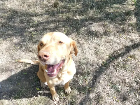 Paolo