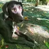 Samy photo 2