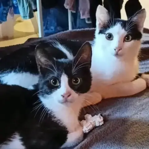 Paco Et Olympe