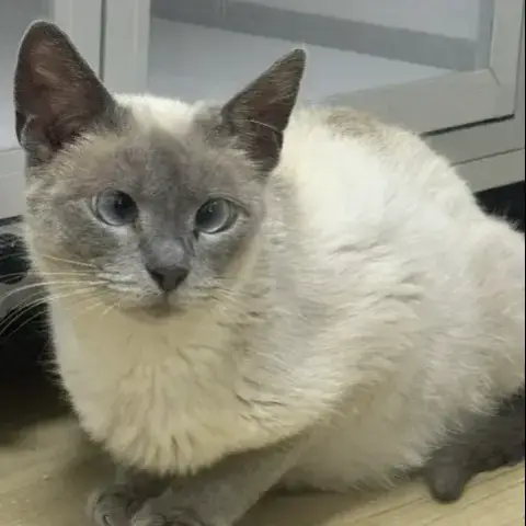 Betty photo 2