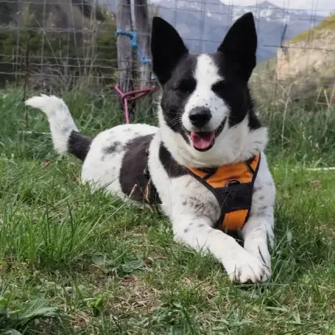 Lucie