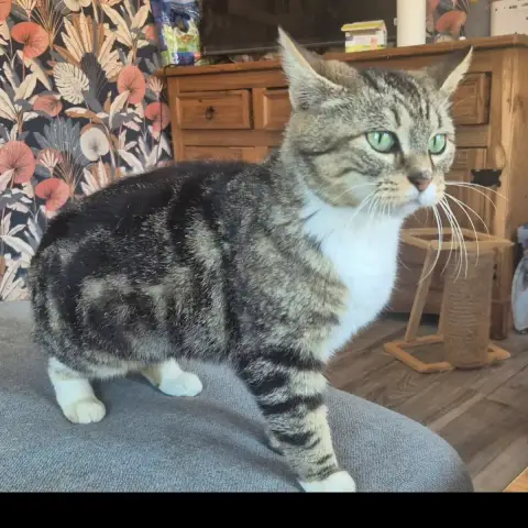 Bibi photo 2