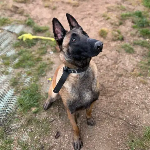Sam
