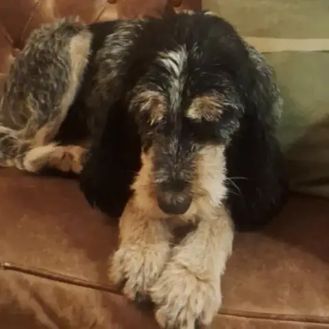 Lucie