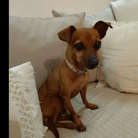 Roxy La Coquine photo 3