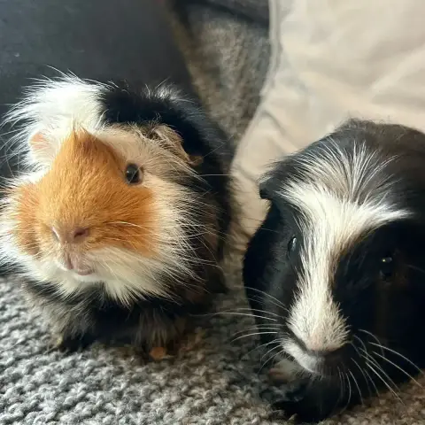 Tom Et Michael