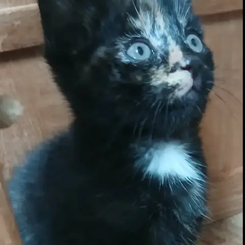 Marie