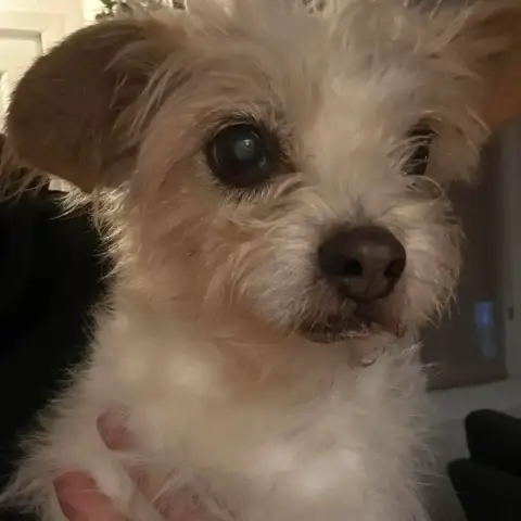 Tina