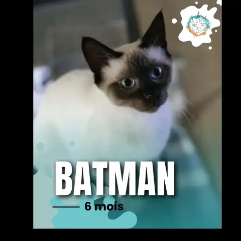 Batman